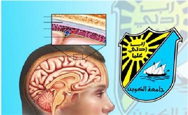 مرض (السحايا) في الأمن والسلامة غداً