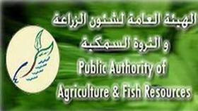 هيئة الزراعة: أطنان المصيد من الروبيان تقل تدريجيا كل عام