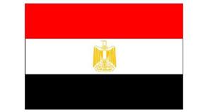 مصر: فتح باب الترشح للرئاسة 10 مارس