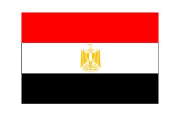 مصر: فتح باب الترشح للرئاسة 10 مارس