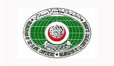 منظمة التعاون الاسلامي تعارض التدخل العسكري في سوريا