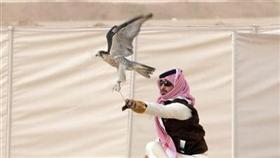 صقور الامارات تطير بالجوائز في مهرجان الموروث الشعبي