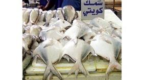 الزبيدي الكويتي يواصل الارتفاع في سعره