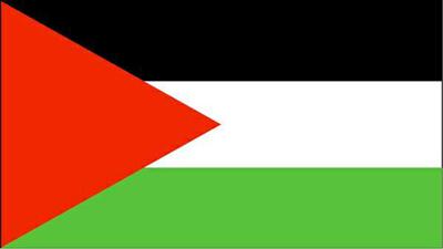 مستوطنون يهود يحرقون 3 مركبات لفلسطينيين برام الله