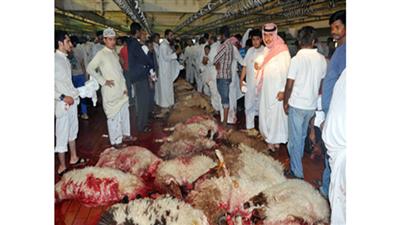 البلدية: 44179 أضحية تعاملت معها مسالخ محافظات البلاد في العيد