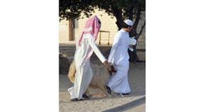 في الطريق الى المسلخ