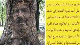 «فيديو» شجرة ألمانية تنضم للإخوان.. مشاهدها يفقد النطق ويخر ساجداً