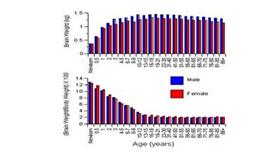«وليس الذكر كالأنثى».. حقائق.. ونتائج غير متوقعة للمعتقدات الواهمة