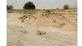 جانب من التجاوزات الجسيمة في محمية الدوحة البحرية