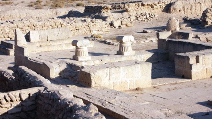 سلطان الدويش نسعى لإدراج مواقع فيلكا الأثرية في قائمة اليونسكو