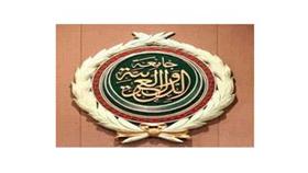 جامعه الدول العربية: القراءة الإفريقية لما حدث فى مصر خاطئة