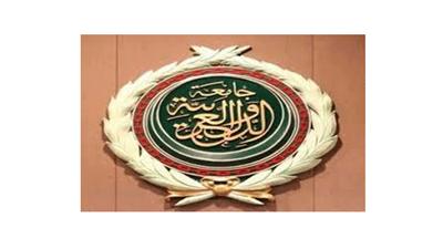 جامعه الدول العربية: القراءة الإفريقية لما حدث فى مصر خاطئة