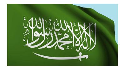 الحكم على 15 شخصاً بالسعودية بالسجن بين عامين و15 عاماً بتهمة الإرهاب