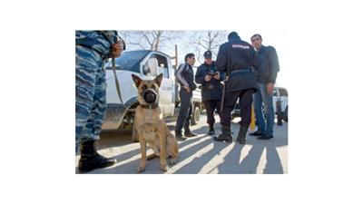 تأهب أمني في جنوب روسيا بعد العثور على 5 جثث