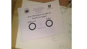 المصريون بالكويت يواصلون التصويت على الدستور بإقبال شديد