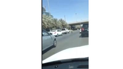 بالفيديو/ مغامرة الهروب.. مطاردة مثيرة بين «خروف» وصاحبه على «دائري» الرياض
