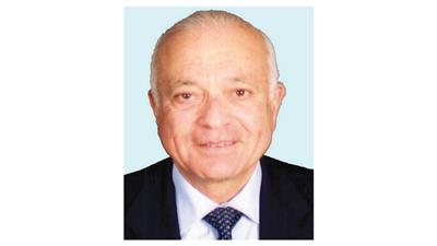 نبيل العربي
