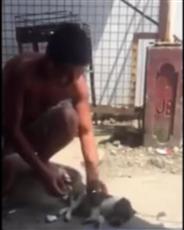 لقطة من الفيديو