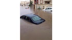 صورة جانبية