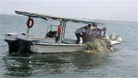 رفع طنين من الشباك العالقة وسط جون الكويت