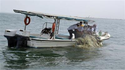 رفع طنين من الشباك العالقة وسط جون الكويت
