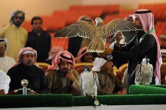 مهرجان الموروث الشعبي.. استعراض الصقور الخليجية في صحراء الكويت