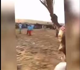 بالفيديو - بكل حماس ومرح.. مبارة كرة قدم لمسنين