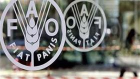 الفاو تناشد المانحين دعم المزارعين السوريين لإنقاذ الإنتاج الغذائي