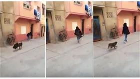 فيديو - شاب يحرّض كلب على اختطاف حقيبة فتاة