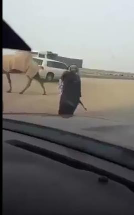 بالفيديو - صاحب إبل يوقف سيارات الناس بالسلاح حتى تتمكن من عبور الطريق