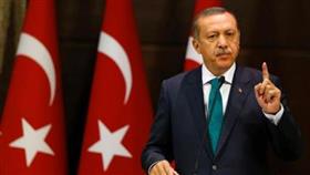 اردوغان يحذر روسيا من عواقب الانتهاك المتكرر للمجال الجوي التركي