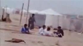 فيديو- بر الكويت في عام 1980
