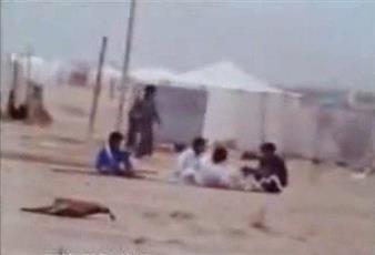 فيديو- بر الكويت في عام 1980