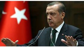 إردوغان: ما لا يقل عن مليون سوري قد يفرون إلى تركيا إذا بدأ النزوح من مدينة حلب