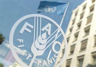 منظمة «فاو» تنفذ مشروعات تنموية بقيمة 8.6 مليون يورو في شرق السودان