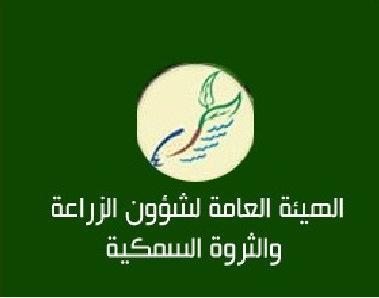 «هيئة الزراعة» تستثني الإبل ذات السنام الواحد من قرار حظر استيراد المجترات من أرمينيا