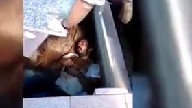 بالفيديو - العثور على رجل دُفن حيا