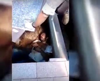 بالفيديو - العثور على رجل دُفن حيا