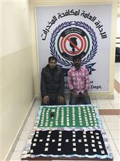 المضبوطان