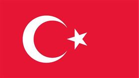 تركيا تحث حلفاءها على التدخل عسكريا على الأرض في سوريا