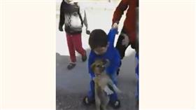 فيديو - طفل يعض كلبا