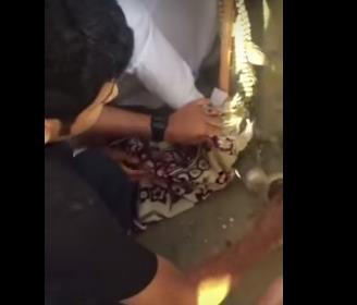 بالفيديو - الإمساك بتمساح يتجول في الشوارع
