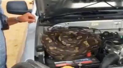 لقطة من الفيديو