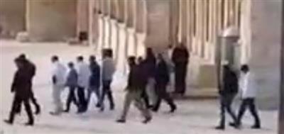 بالفيديو- مستوطنون يقتحمون المسجد الأقصى ويصعدون استفزازاتهم