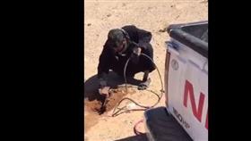 بالفيديو - سعودي يبحث عن «ضبان» داخل جحر.. فماذا وجد ؟!