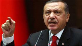 الرئيس التركي رجب طيب أردوغان