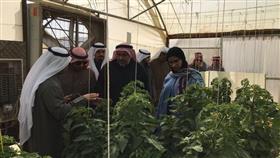 «الصبيح»: البترول الوطنية وافقت على توزيع الديزل للمزارعين المنتجين من مقرات الاتحاد بالمناطق الزراعية