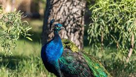 حديقة الحيوان الكبرى.. إضافة لقطاع السياحة