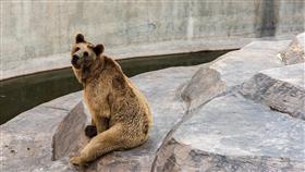 حديقة الحيوان الكبرى.. إضافة لقطاع السياحة