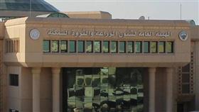 هيئة الزراعة - صورة أرشيفية